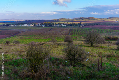 Obraz na płótnie Countryside and landscape in the Golan Heights w salonie
