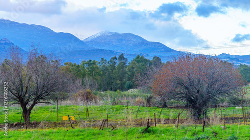 Golan Heights landscape, with Mount Hermon