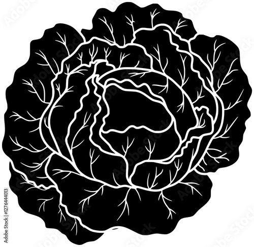 cauliflower illustration lettuce silhouette vegetable logo plant icon cabbage outline food leaf green fresh curly kale organic agriculture healthy shape adults vector graphic background