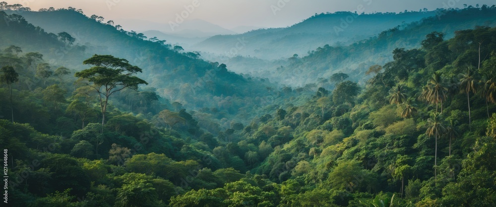 Lush green forest landscape with misty mountain range and valley in the background during early morning light. Lush green forest landscape with misty mountain range and valley in the background during early morning light.
