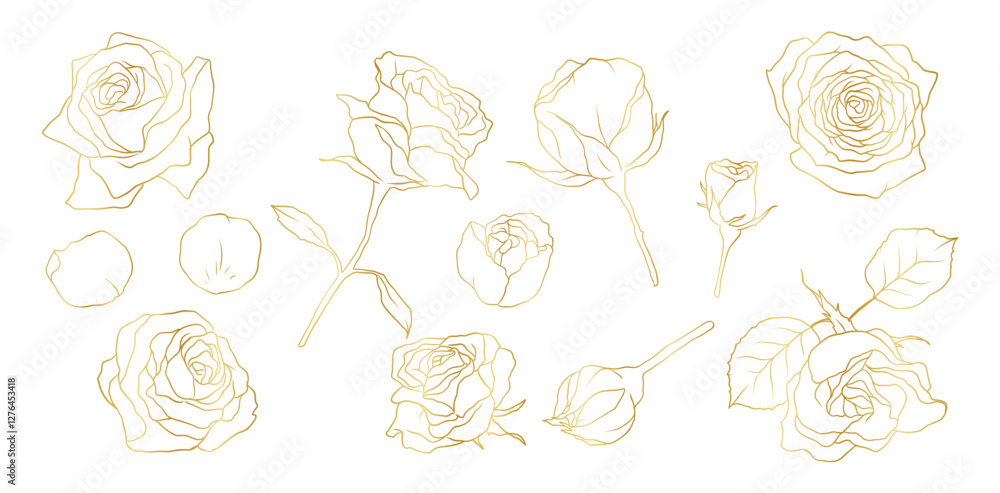 Hand drawn rose flower golden line art illustration with floral botanical elements nature outline and sketch style