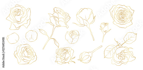 Hand drawn rose flower golden line art illustration with floral botanical elements nature outline and sketch style