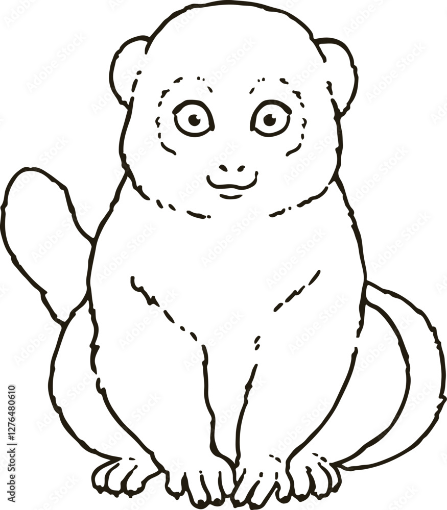 Cute line art illustration of Eastern lesser bamboo lemur Cute line art illustration of Eastern lesser bamboo lemur
