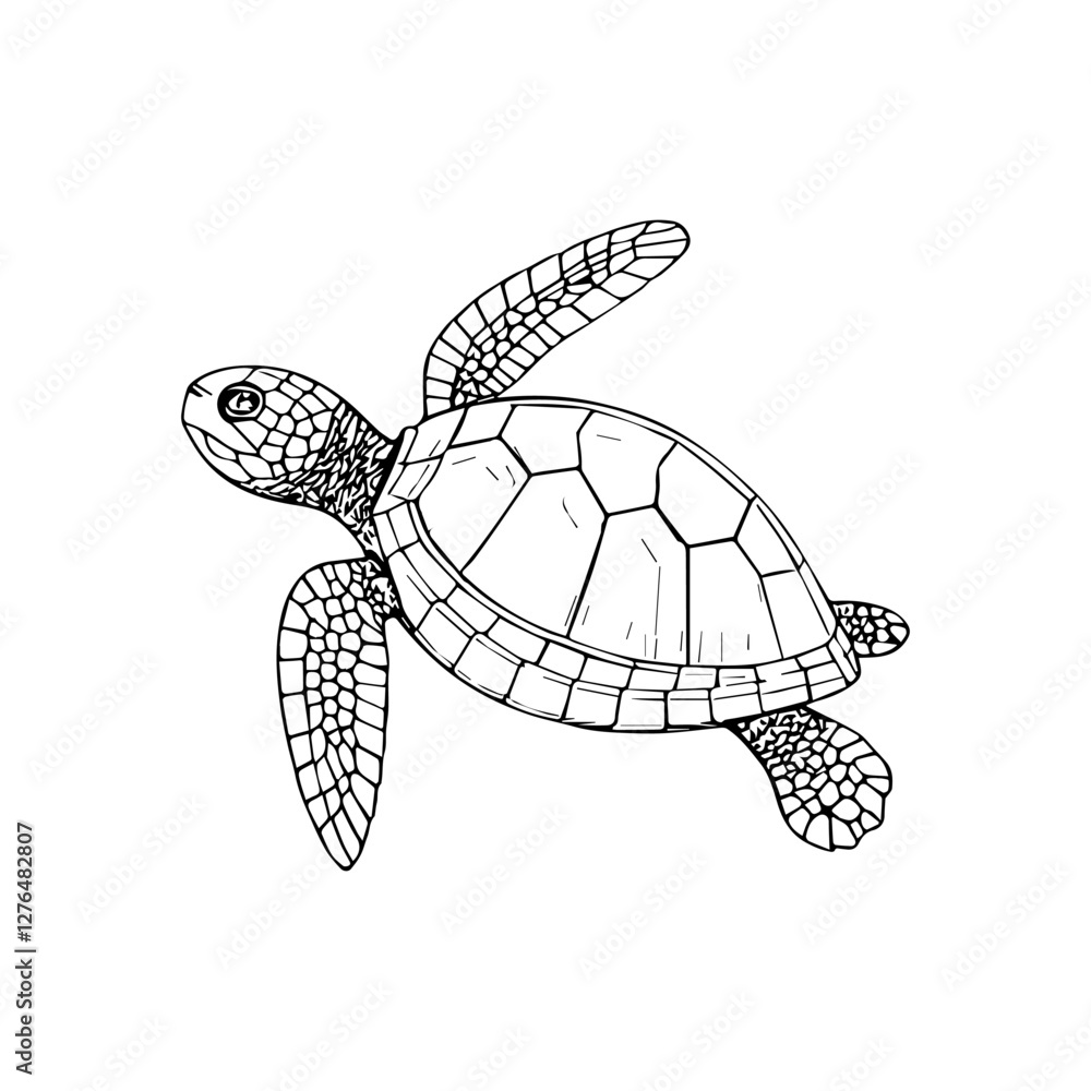 Fototapeta premium Black and White Turtle Line Art Vector Illustration