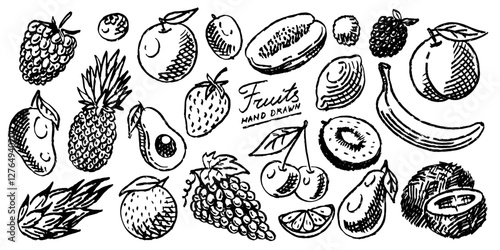 Brush drawn fresh fruits in grunge style. very simple lines with many organic food. strawberry and peach engraved. doodle summer set