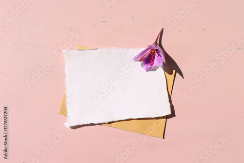 Crocus sativus, commonly known as saffron crocus it is among the world's most costly spices by weight. Beige table background in sunlight. Food concept. Long, harsh shadows. Flat lay, top.