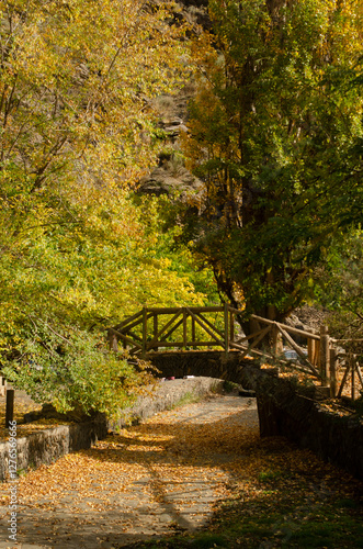 Wallpaper Mural wooden bridge in autumn Torontodigital.ca