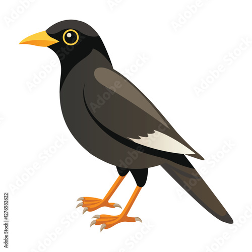Beautiful Common Myna Bird Illustration on White