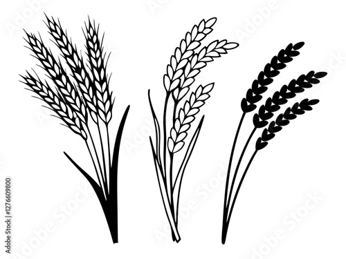Wheats rye rice ears set, Vector icon, Line art Vector, Doodle Icon