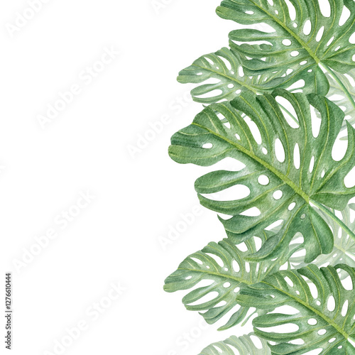 Tropical green monstera leaves vertical border with empty space for text. Houseplant creeper plant illustration isolated background. For flower shop design, travel agency. Swiss cheese liana