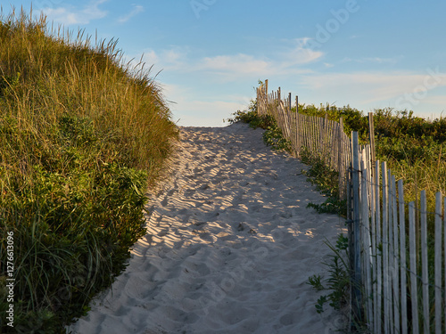 Dunes pathway with sand fencing photo