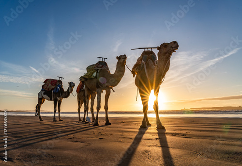 Essaouira is a port city and resort on Morocco’s Atlantic coast