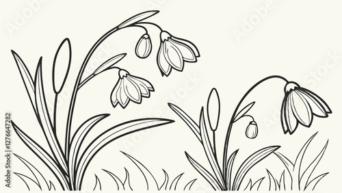 hand-drawn illustration, delicate snowdrop flowers, botanical sketch, black and white ink drawing, simple line art, drooping bell-shaped blossoms, slender stems and leaves, grass blades
