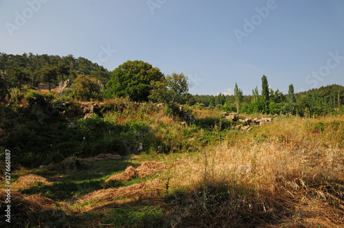 Labranda Ancient City in Mugla, Turkey. photo