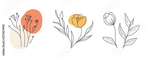 Minimalist botanical illustrations with colorful accents and simple line designs. Vector