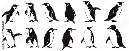 Silhouettes of twelve penguins in various standing poses on a white background. Vector