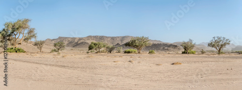 Obraz na płótnie sparse vegetation in Huab river dry riverbed, near Vrede, Namibia w salonie