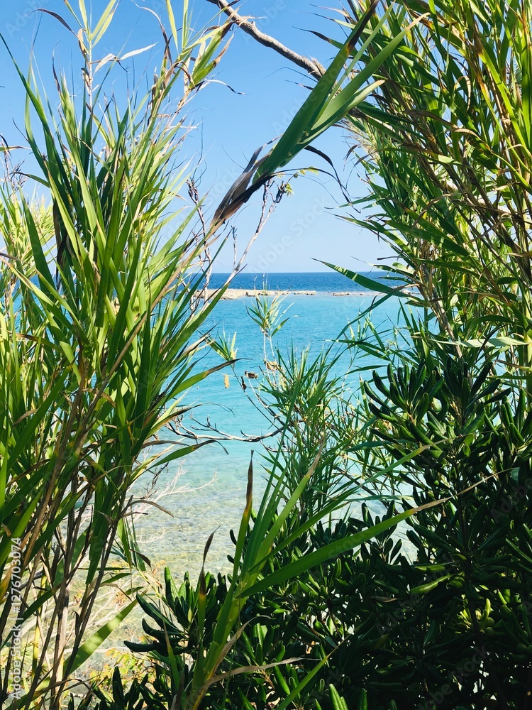 Obraz premium sea through the bushes