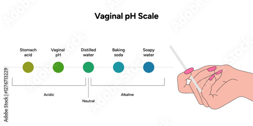 Women female vaginal ph scale balance. Intimacy Acidic, neutral and alkaline scale ph levels