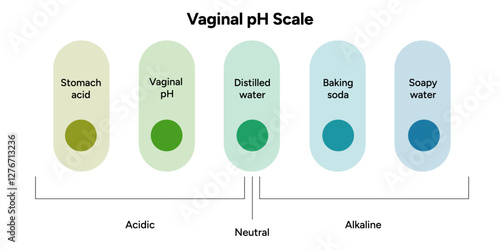Women female vaginal ph scale balance. Intimacy Acidic, neutral and alkaline scale ph levels