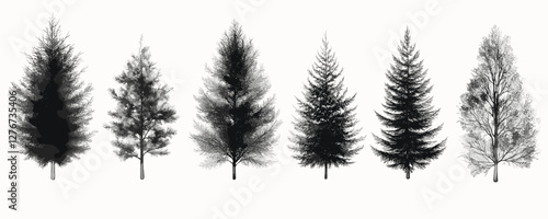 Detailed black and white illustrations of various tree species silhouetted against white background. Vector