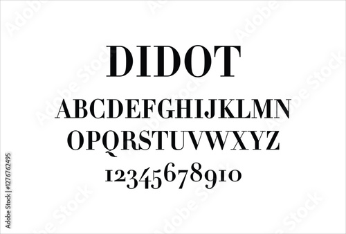 Didot font for logo and headline. Isolated vector typeset