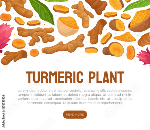 Turmeric Root Nature Spice and Plant Banner Design Vector Template