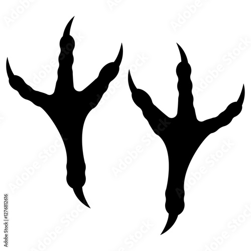 eagle footprint,  Eagle bird footprint.