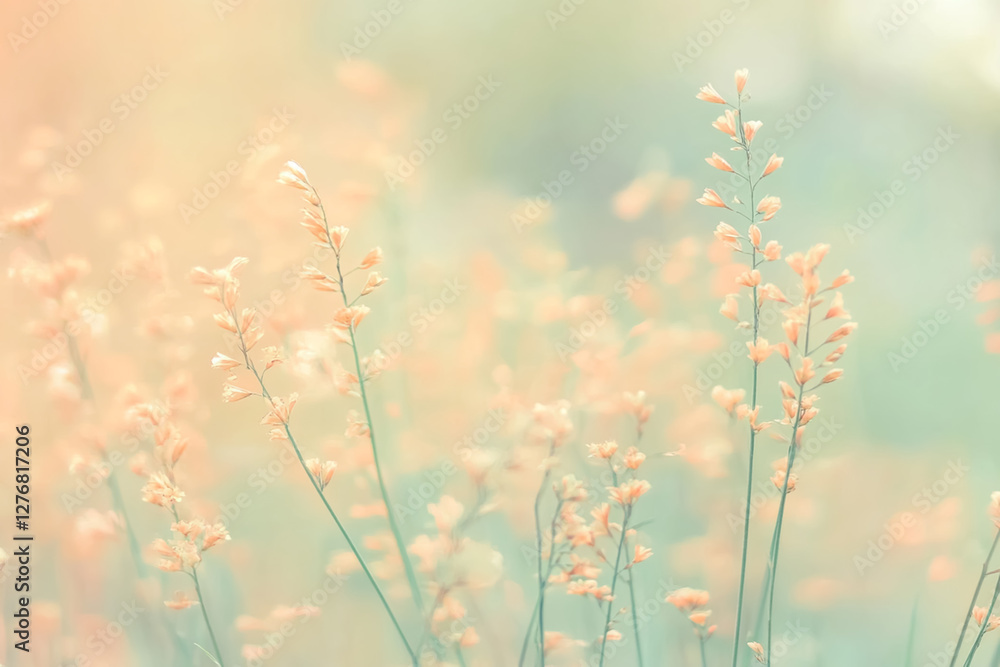 A fresh, pastel blurred background blending soft peach, mint, and yellow tones for a trendy and minimalistic look A fresh, pastel blurred background blending soft peach, mint, and yellow tones for a trendy and minimalistic look
