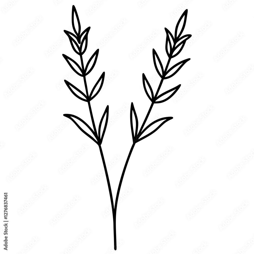 Fototapeta premium lavender-sprig-divider-with-botanical-details