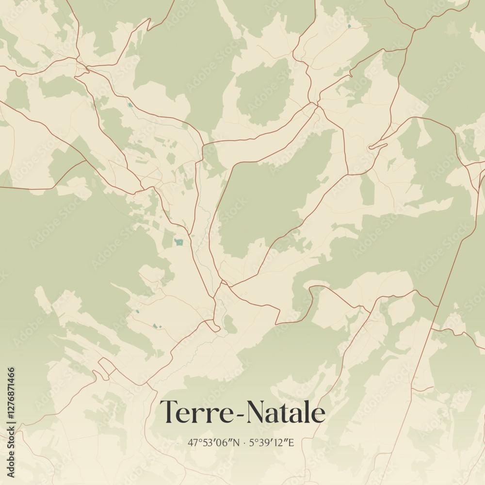 Obraz premium Vintage map of Terre-Natale, France.