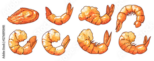 Variety of cooked shrimp: different poses and angles on white background. Vector