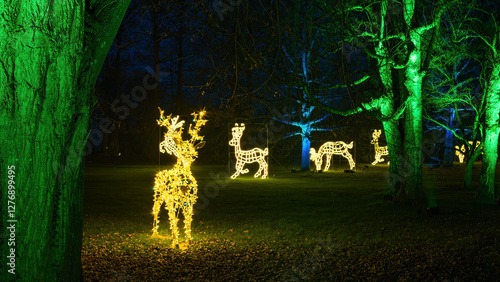 Christmas Garden - light creations at the Island of Mainau, lake Constance