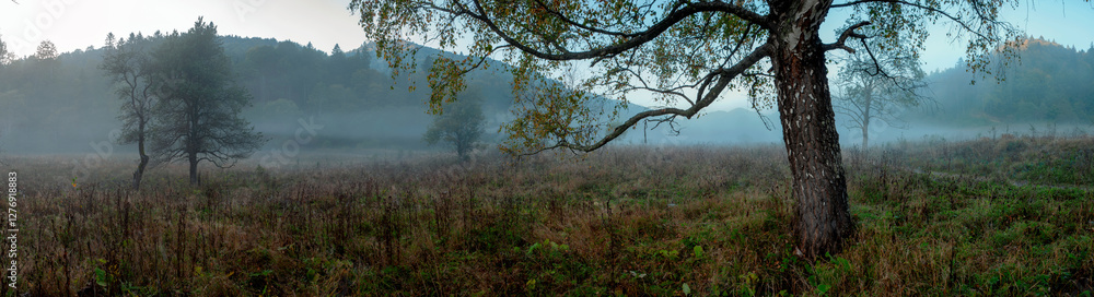 panorama of cloud forest in mountains...Mountain blue gradient landscape.