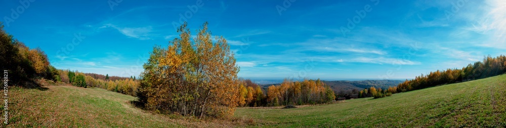 Fototapeta premium Panoramic nature landscape, soft pastel colors, dream nature, sunset autumn background, peaceful amazing nature panorama