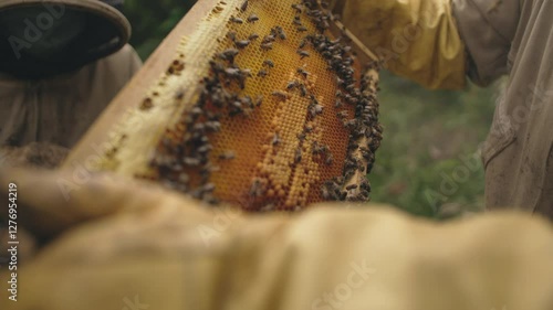 Beekeepers working with bees to produce honey to protect nature in an ecologically fair manner