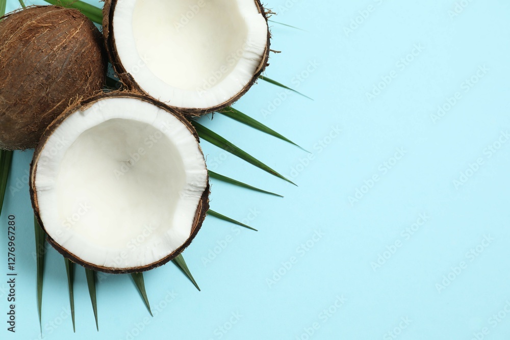 Coconut on color background, top view Coconut on color background, top view