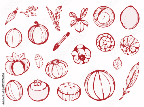 Sketchy Organic Elements Vector Set