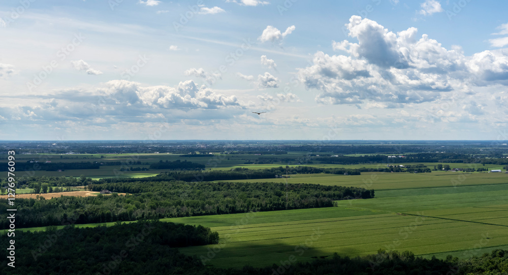 Fototapeta premium View of farm fields and houses from height, Quebec, Canada