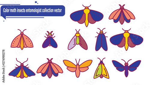 Color moth insects entomologist collection vector