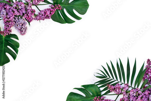 Frame of tropical leaves palm tree and monstera with lilac flowers on a white background with space for text. Top view, flat lay photo