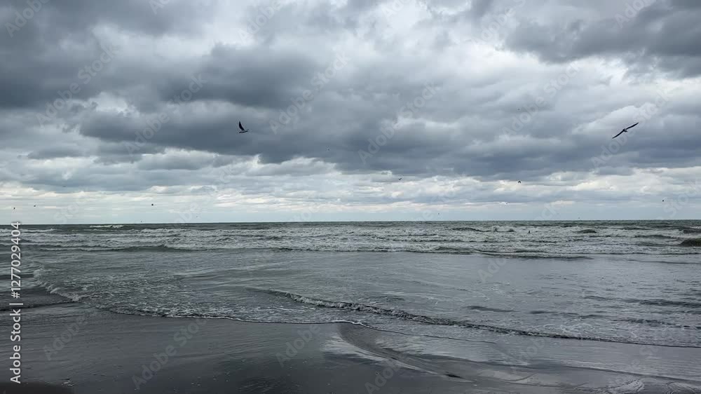 The sea and the storm The sea and the storm