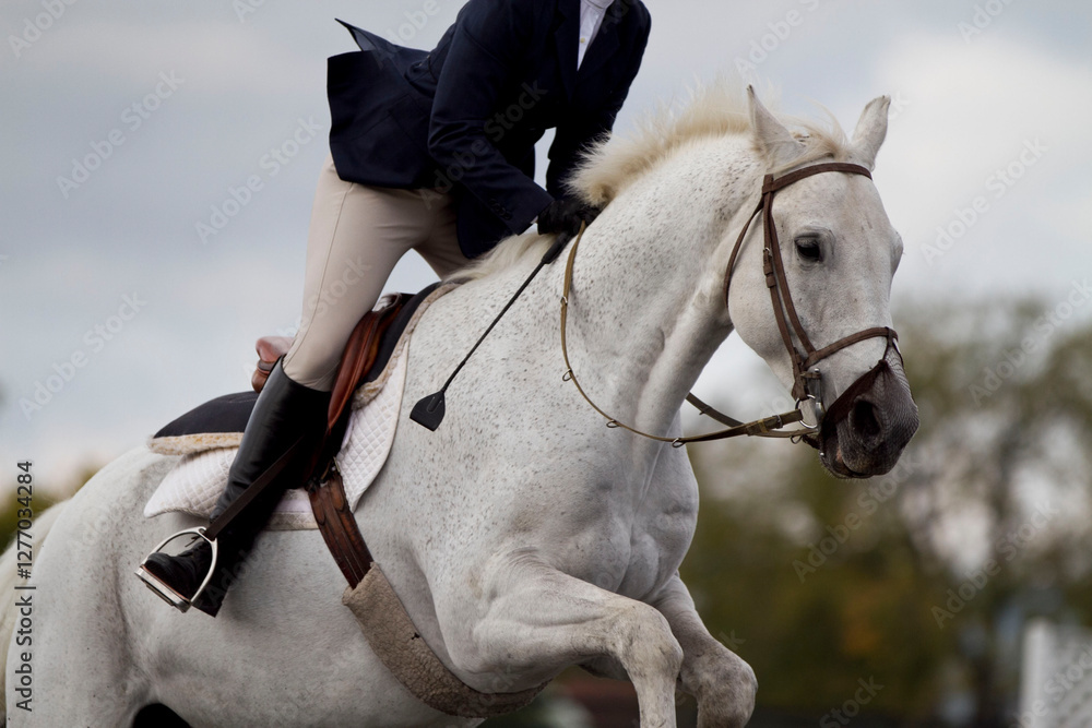 Obraz premium White horse with english rider going over a jump.