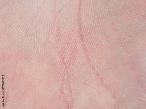 Fine lines and patterns on the palm create a unique pattern that emphasizes the beauty of human skin and individuality. photo