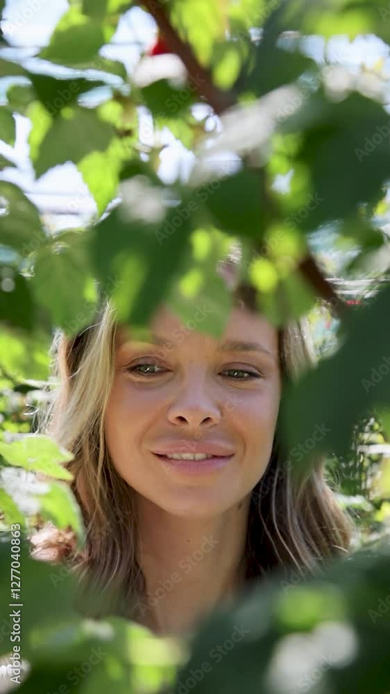 Beautiful female picking raspberries. Slow motion Beautiful female picking raspberries. Slow motion