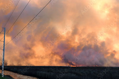 Obraz na płótnie Middleton Fire near Stowell in Texas w salonie