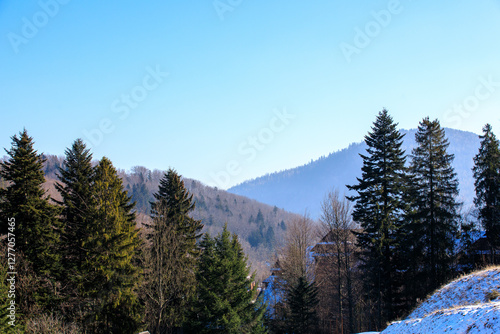 Fototapeta Naklejka Na Ścianę i Meble -  View of mountains covered by fir trees on bright sunny day, Beskidy, Poland