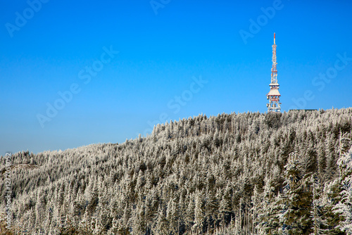 Fototapeta Naklejka Na Ścianę i Meble -  View of mountains covered by fir trees on bright sunny day, Beskidy, Poland