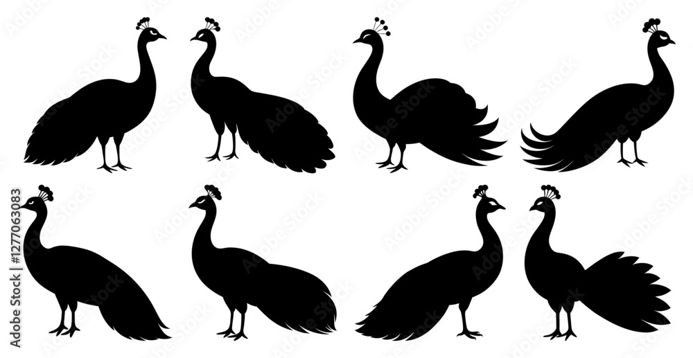 Peacock Silhouette Bundle for Bird and Wildlife Designs Peacock Silhouette Bundle for Bird and Wildlife Designs