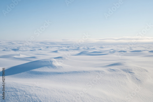 A vast, snowy tundra stretching infinitely into the distance, with soft powdery textures, icy blue reflections, and a crisp, arctic wind shaping the drifts.